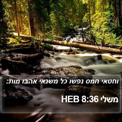 משלי 8:36 HEB Bible Verse Image