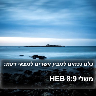 משלי 8:9 HEB Bible Verse Image