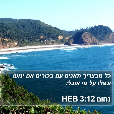 נחום 3:12 HEB Bible Verse Image