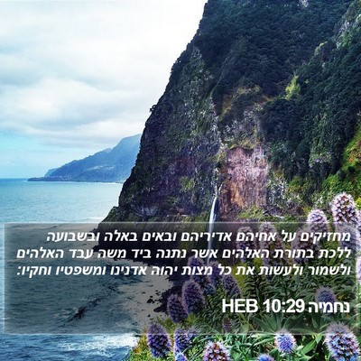נחמיה 10:29 HEB Bible Verse Image