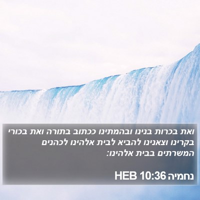 נחמיה 10:36 HEB Bible Verse Image