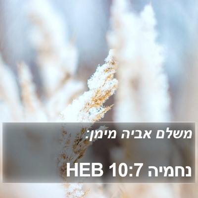 נחמיה 10:7 HEB Bible Verse Image