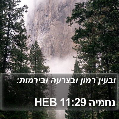 נחמיה 11:29 HEB Bible Verse Image