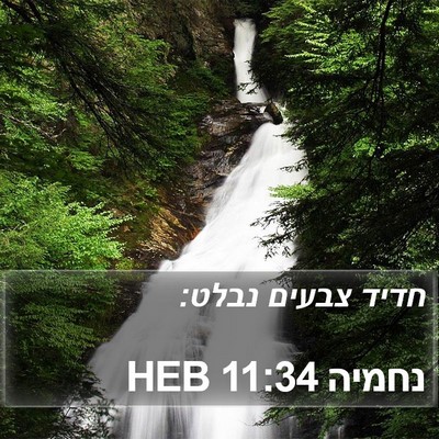 נחמיה 11:34 HEB Bible Verse Image