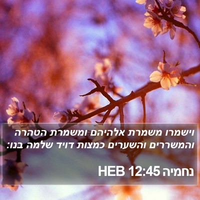 נחמיה 12:45 HEB Bible Verse Image