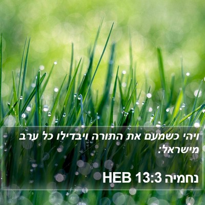 נחמיה 13:3 HEB Bible Verse Image