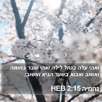 נחמיה 2:15 HEB Bible Verse Image