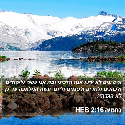 נחמיה 2:16 HEB Bible Verse Image