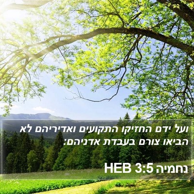 נחמיה 3:5 HEB Bible Verse Image