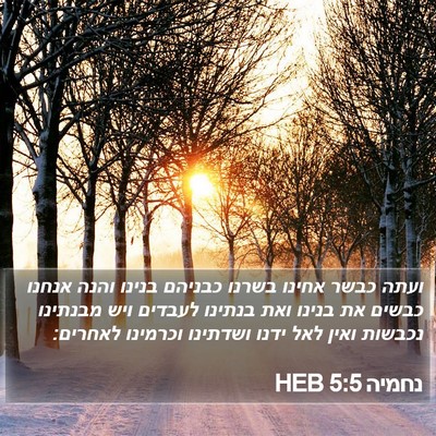 נחמיה 5:5 HEB Bible Verse Image