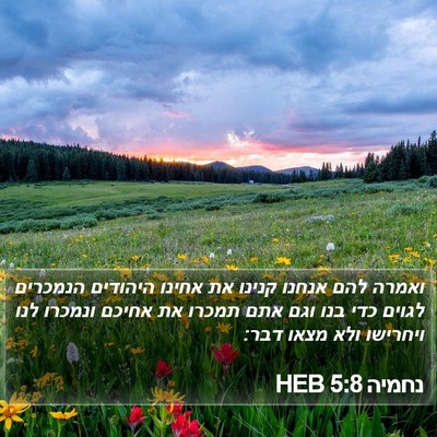 נחמיה 5:8 HEB Bible Verse Image