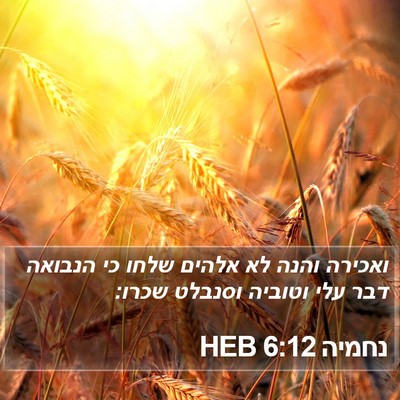 נחמיה 6:12 HEB Bible Verse Image