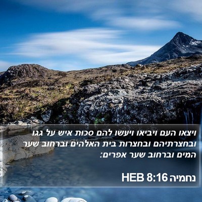 נחמיה 8:16 HEB Bible Verse Image