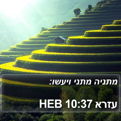 עזרא 10:37 HEB Bible Verse Image