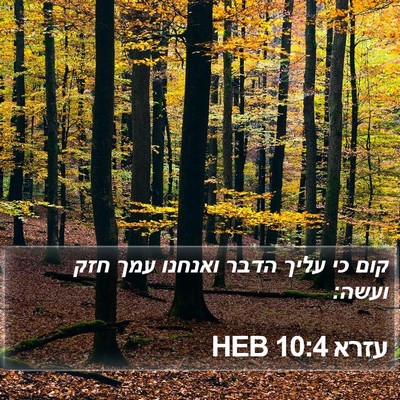 עזרא 10:4 HEB Bible Verse Image