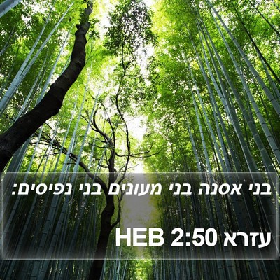 עזרא 2:50 HEB Bible Verse Image