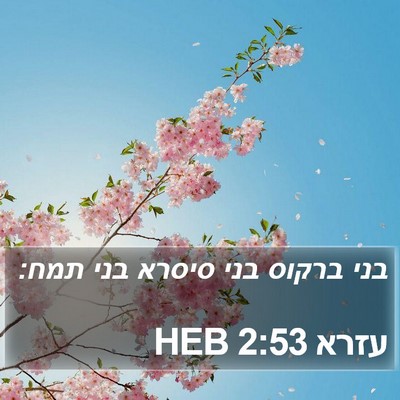 עזרא 2:53 HEB Bible Verse Image