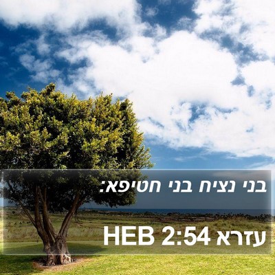 עזרא 2:54 HEB Bible Verse Image