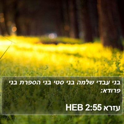עזרא 2:55 HEB Bible Verse Image
