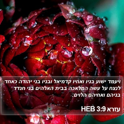 עזרא 3:9 HEB Bible Verse Image
