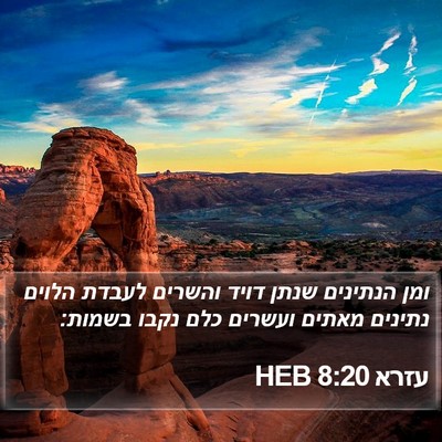 עזרא 8:20 HEB Bible Verse Image