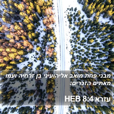 עזרא 8:4 HEB Bible Verse Image