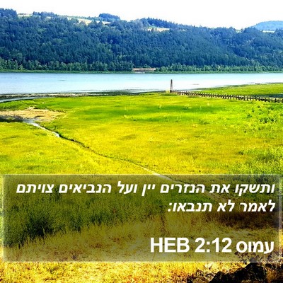 עמוס 2:12 HEB Bible Verse Image