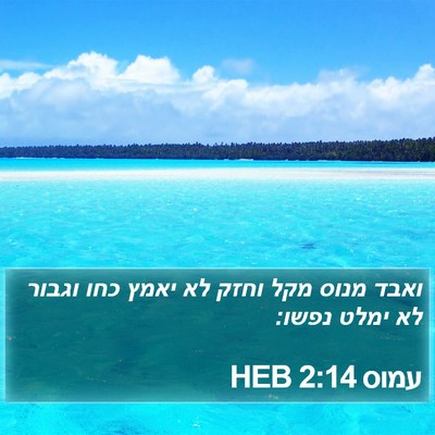 עמוס 2:14 HEB Bible Verse Image