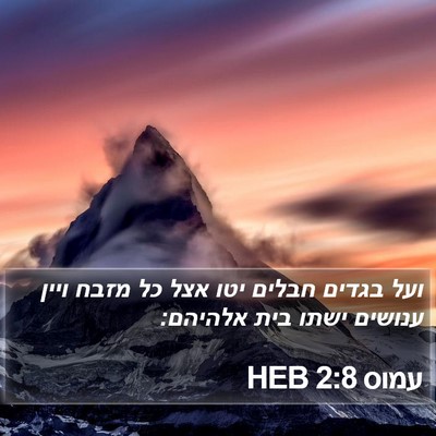 עמוס 2:8 HEB Bible Verse Image