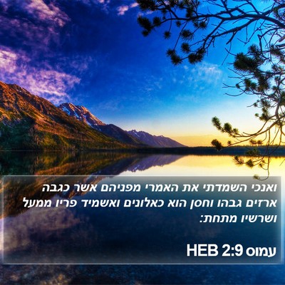 עמוס 2:9 HEB Bible Verse Image