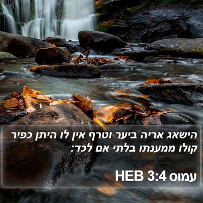 עמוס 3:4 HEB Bible Verse Image