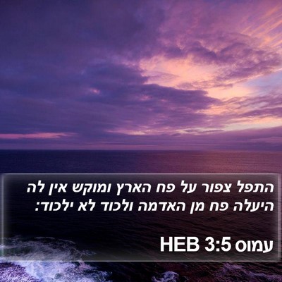 עמוס 3:5 HEB Bible Verse Image