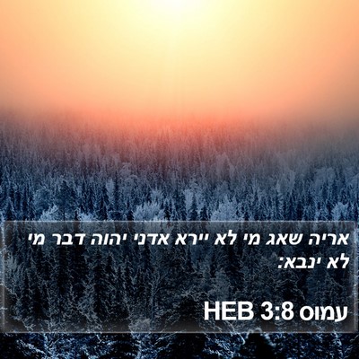 עמוס 3:8 HEB Bible Verse Image