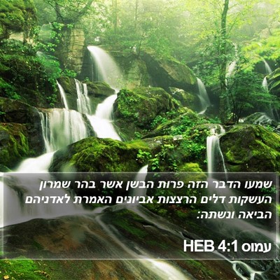 עמוס 4:1 HEB Bible Verse Image