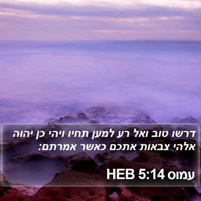 עמוס 5:14 HEB Bible Verse Image