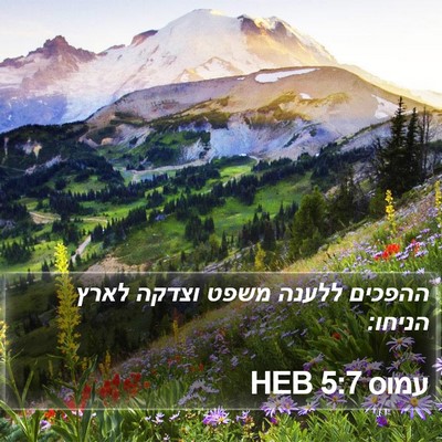 עמוס 5:7 HEB Bible Verse Image