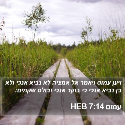 עמוס 7:14 HEB Bible Verse Image