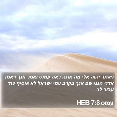 עמוס 7:8 HEB Bible Verse Image