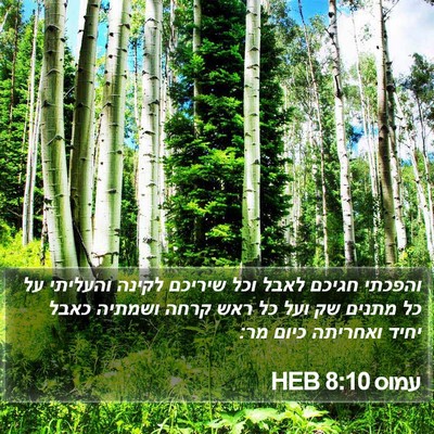 עמוס 8:10 HEB Bible Verse Image