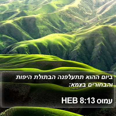 עמוס 8:13 HEB Bible Verse Image