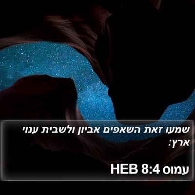 עמוס 8:4 HEB Bible Verse Image