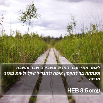 עמוס 8:5 HEB Bible Verse Image