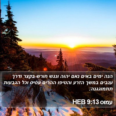 עמוס 9:13 HEB Bible Verse Image