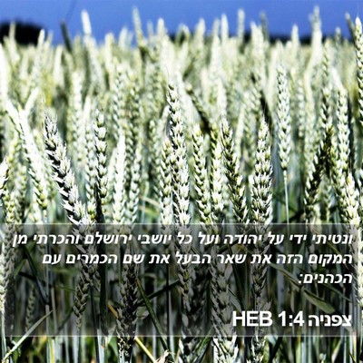 צפניה 1:4 HEB Bible Verse Image