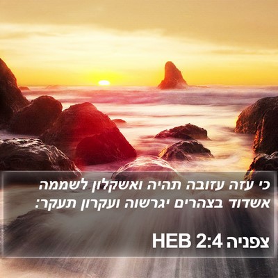 צפניה 2:4 HEB Bible Verse Image