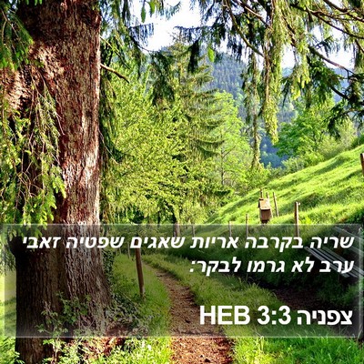 צפניה 3:3 HEB Bible Verse Image