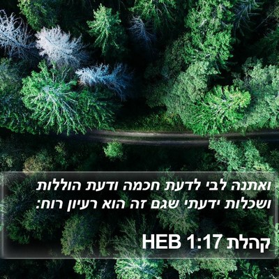 קהלת 1:17 HEB Bible Verse Image