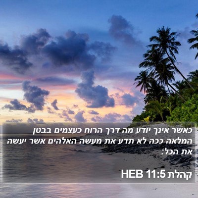 קהלת 11:5 HEB Bible Verse Image