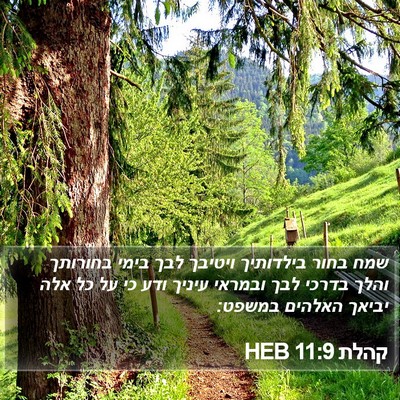 קהלת 11:9 HEB Bible Verse Image