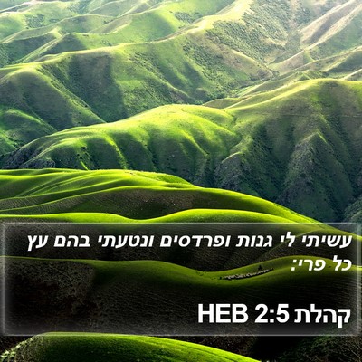 קהלת 2:5 HEB Bible Verse Image
